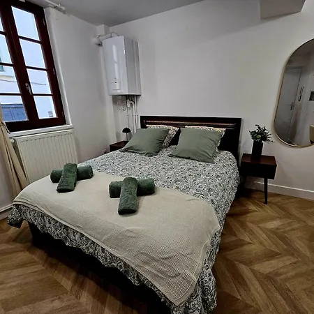Elegante Au Coeur De * Vienne (Isere)